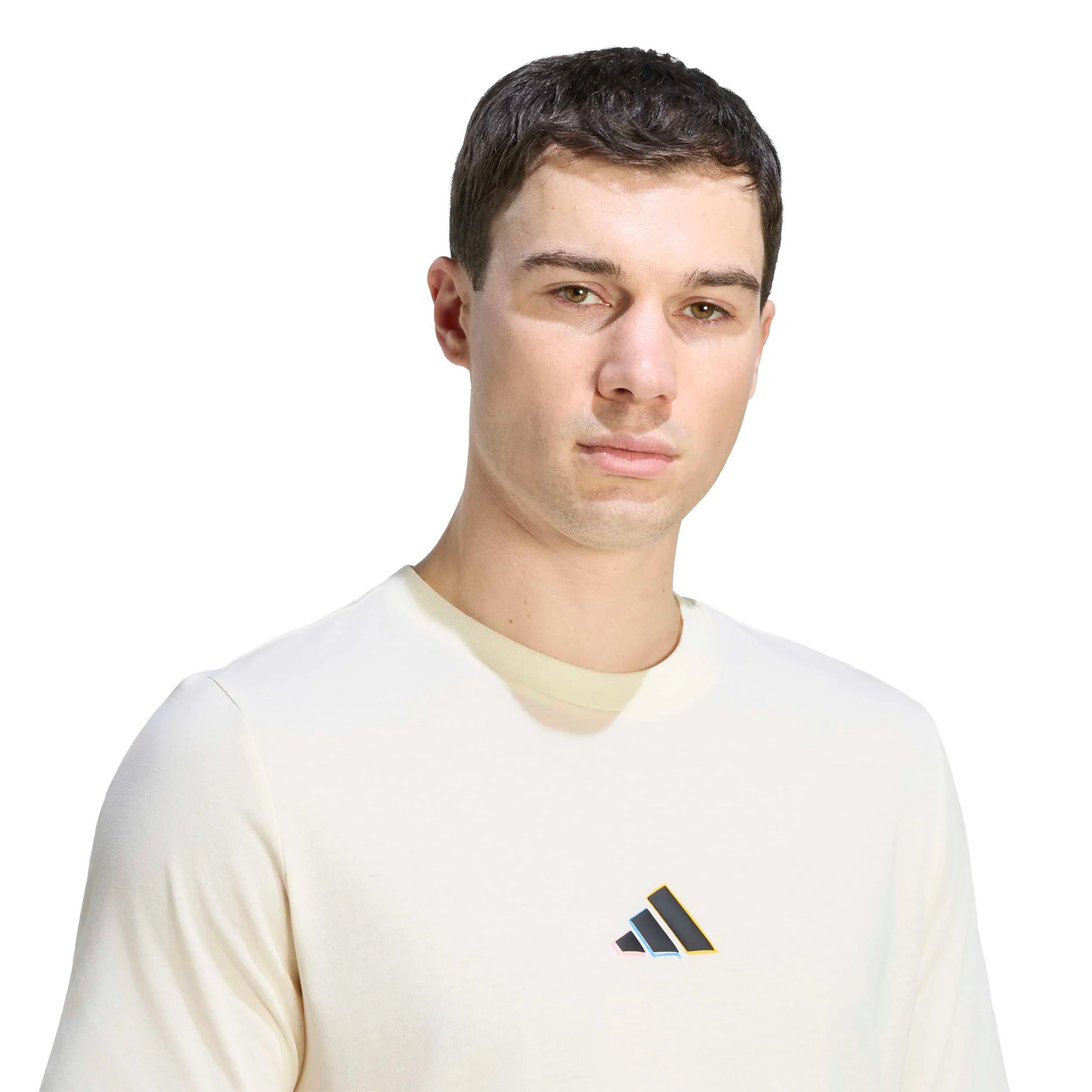 T-shirt Hommes - crème, multicouleur - Image 5