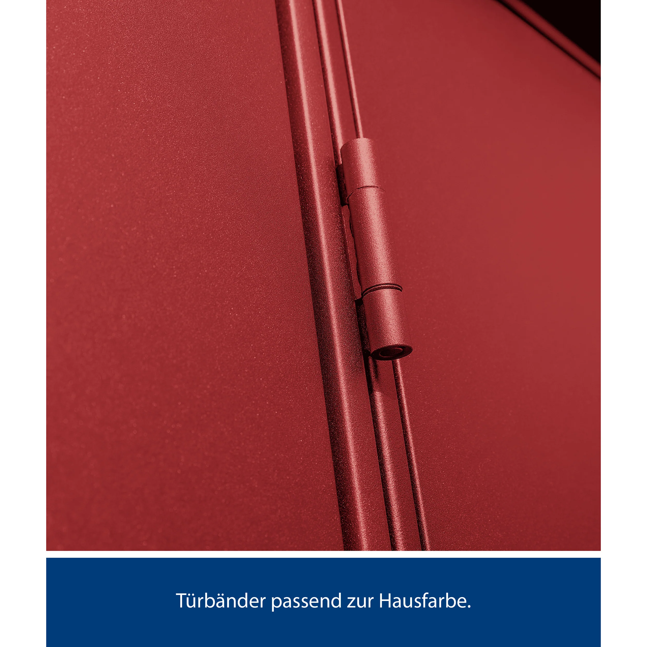 Set Berry Modern-P,Typ 3 Abri de jardin - Image 10