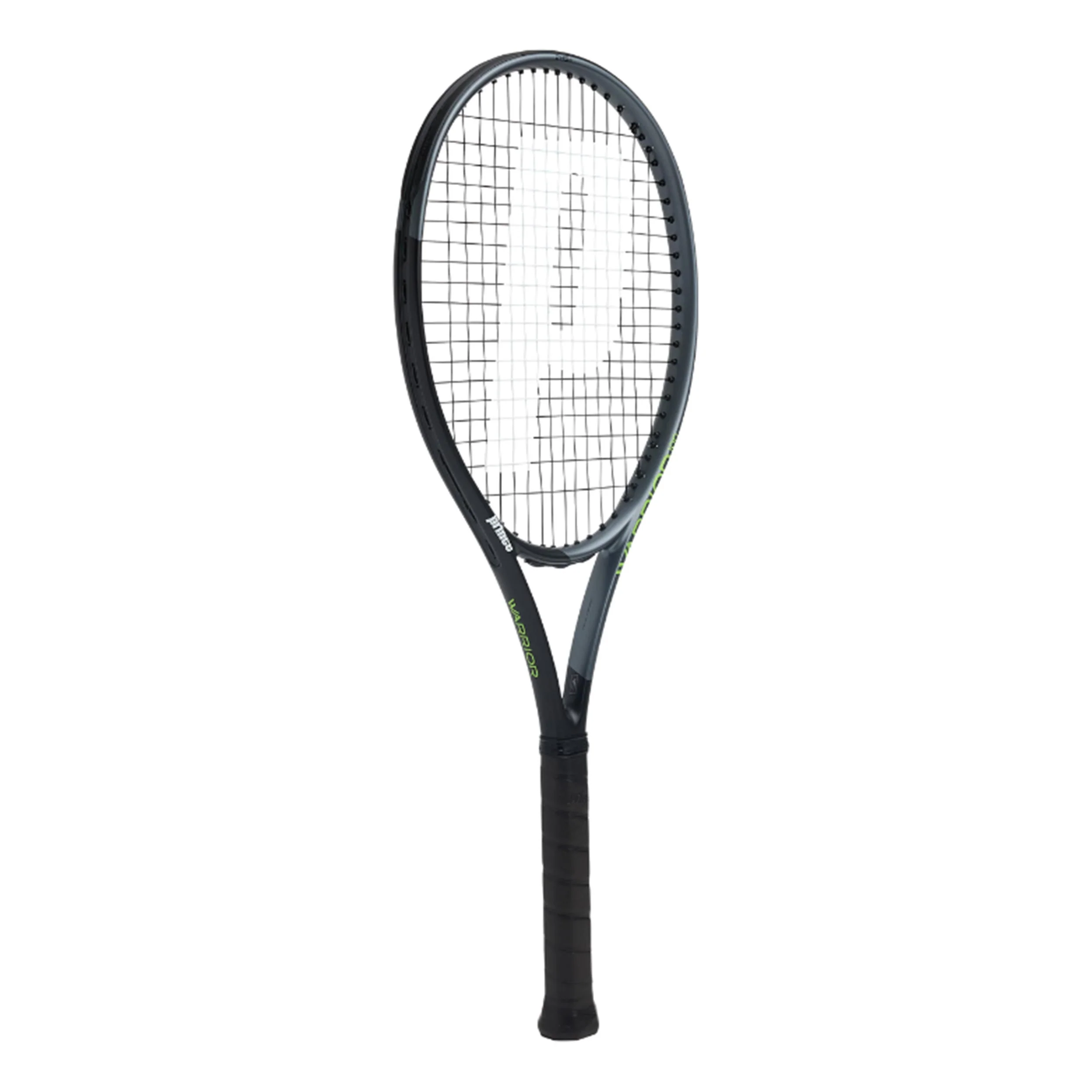 Warrior 100 - Image 2