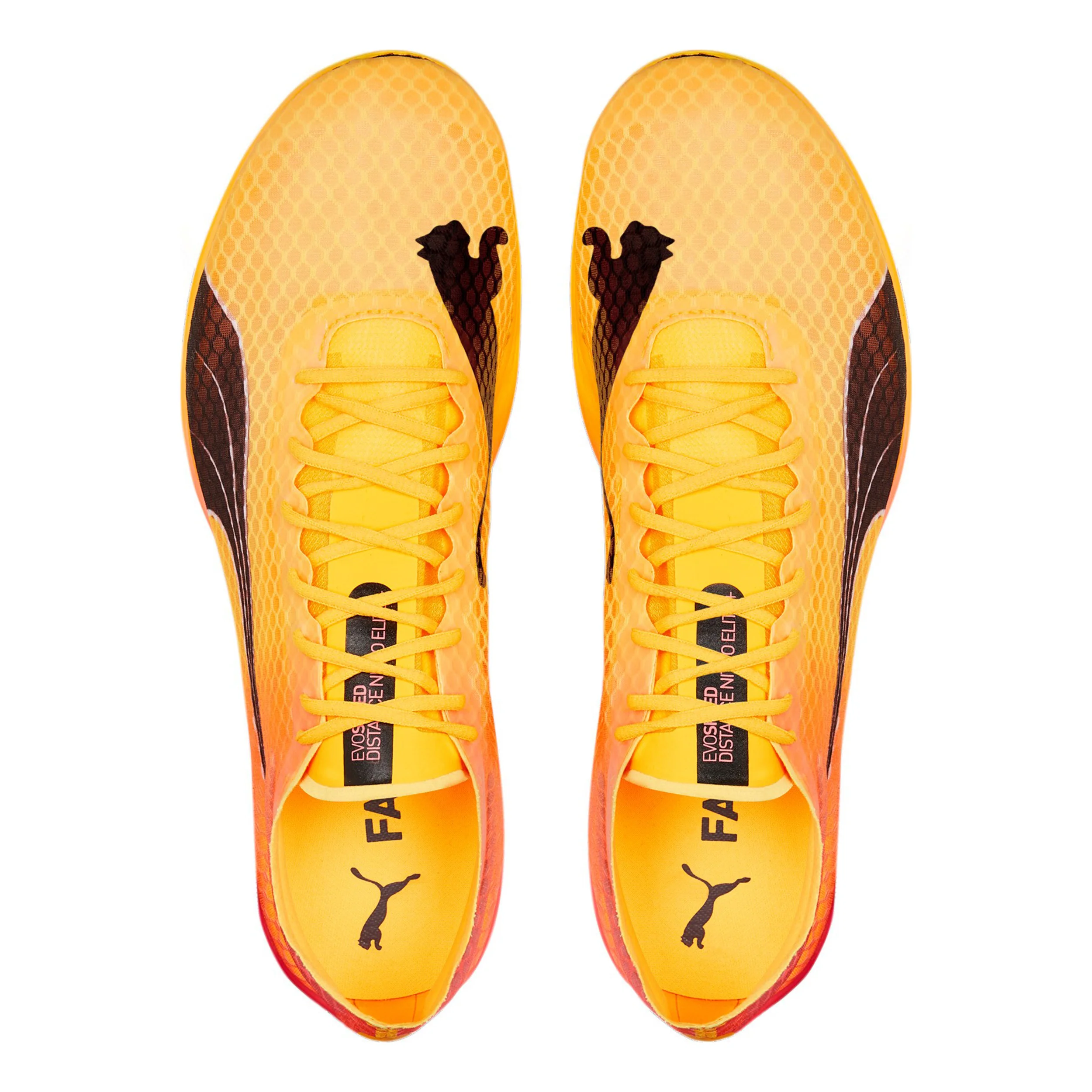 EvoSPEED Distance Nitro Elite+ 2 Spikes-Jaune,Orange - Image 3