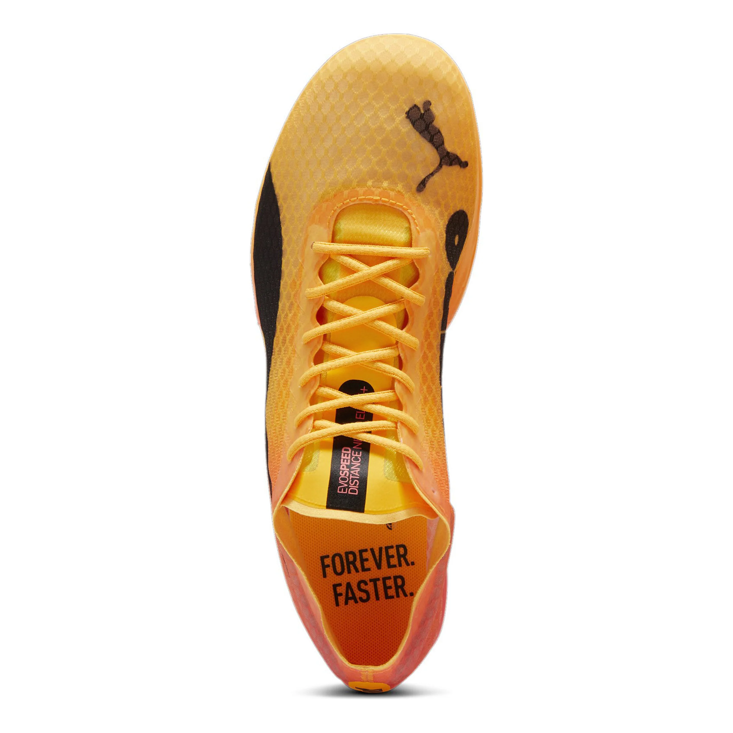 EvoSPEED Distance Nitro Elite+ 4 Spikes-Orange,Noir - Image 3