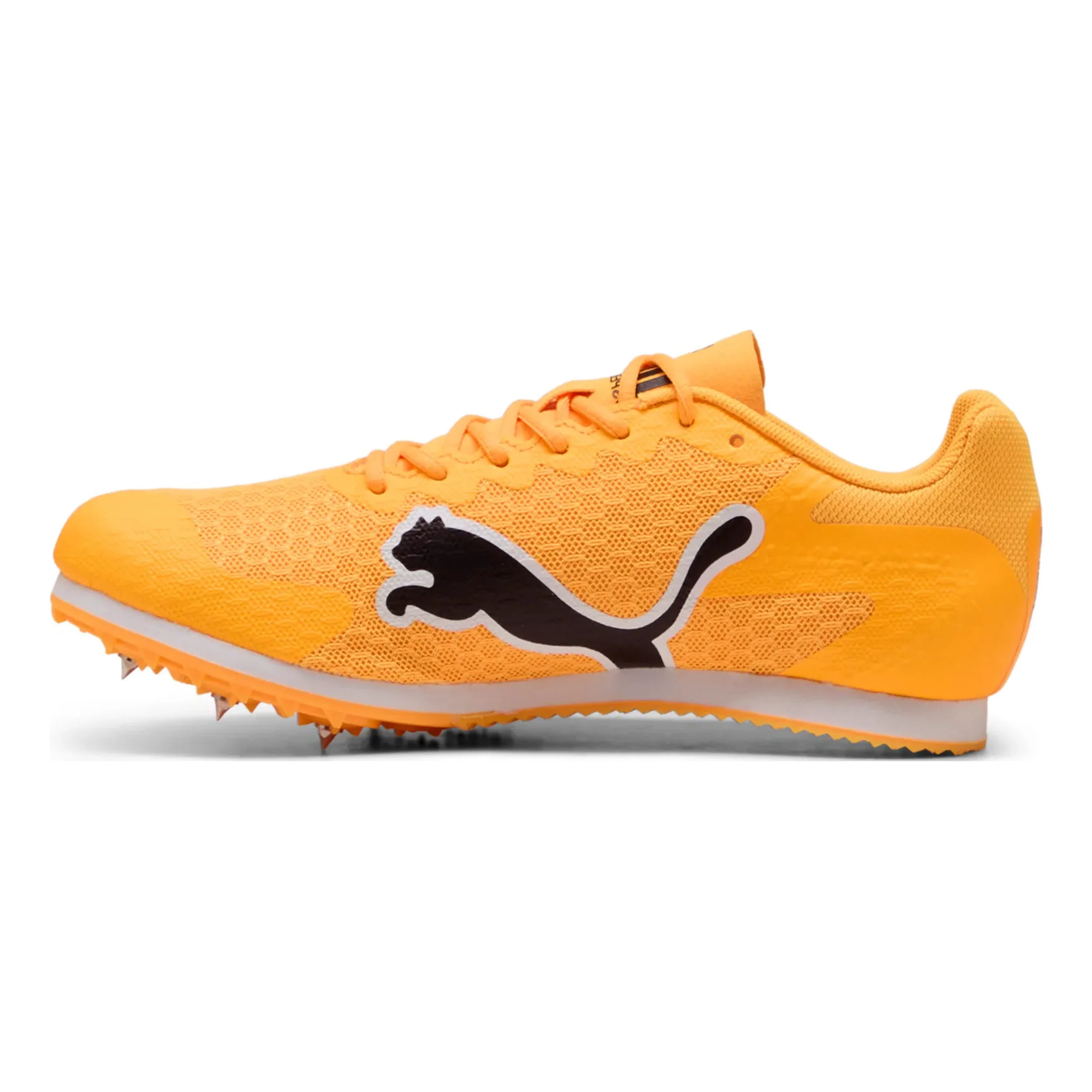 evoSPEED Star 9 Spikes Enfants - orange, noir - Image 2